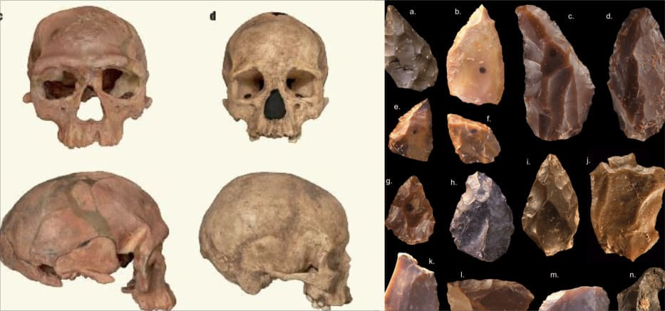 اكتشاف أقدم أحافير للبشر في المغرب، تعود إلى 300,000 عام الماضي 2300