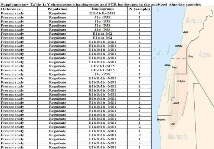 قبيلة ركيبات الصنهاجية ظهروا أمازيغ بعد التحليل الجيني 2303