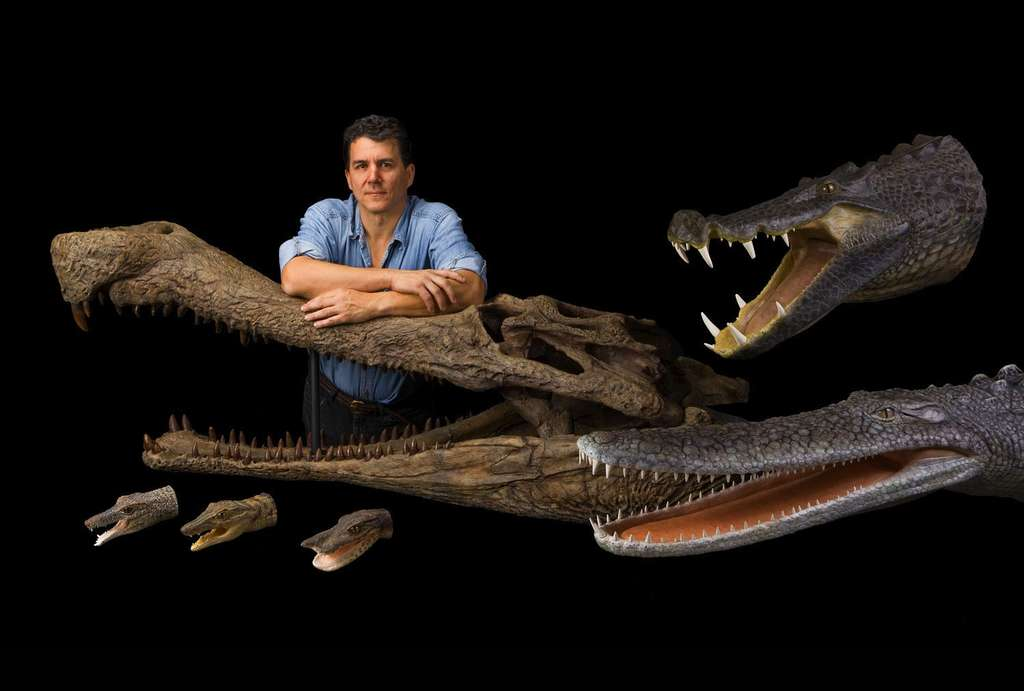 اكتشاف أحفورة عمرها 95 مليون سنة لتمساح التهم ديناصورًا في وجبته الأخيرة 2363