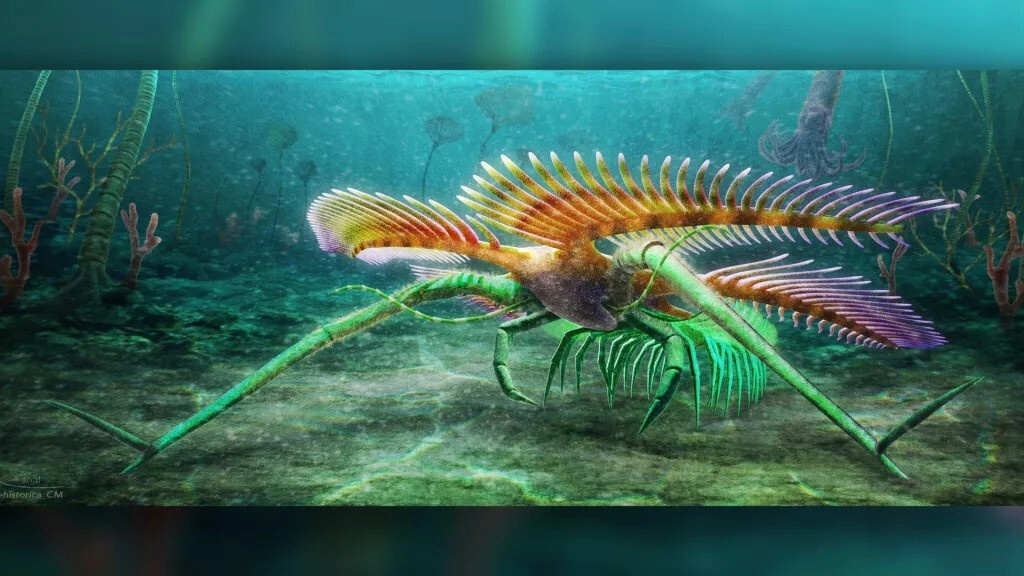 Son âge est de près d'un demi-milliard d'années... la découverte d'un animal marin plus vieux que les dinosaures 261