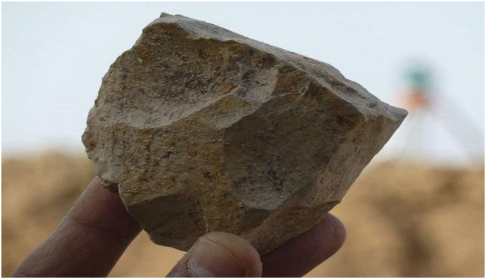 اكتشافات أثرية في الجزائر عمرها مليونا عام 296