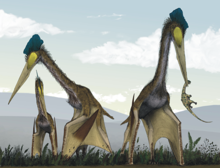 Dating back to the Cretaceous period.. Discovering the largest flying reptiles that lived in South America 6271