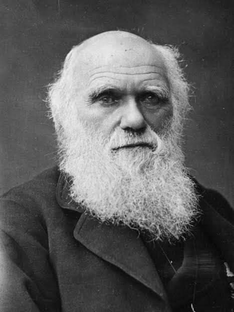 المفكر الإنجليزي تشارلز داروين 6309