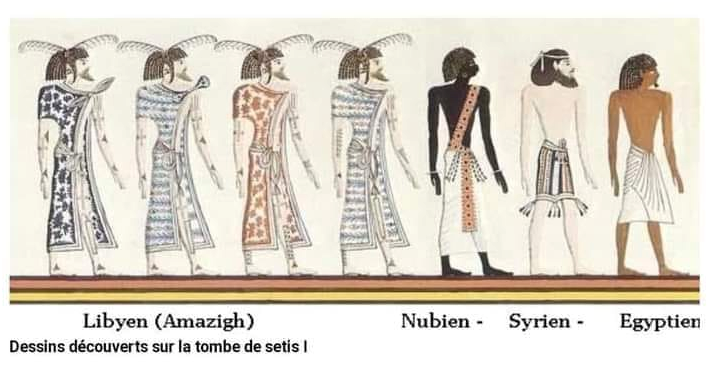 مقارنة بسيطة بين #اللغة_الأمازيغية و اللغة المصرية القديمة #القبطية : 7111