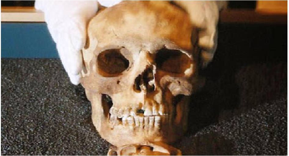 نتائج تحاليل الحمض النووي لرفات موقع تافوغالت عمرها 12ألف سنة قبل الميلاد A109
