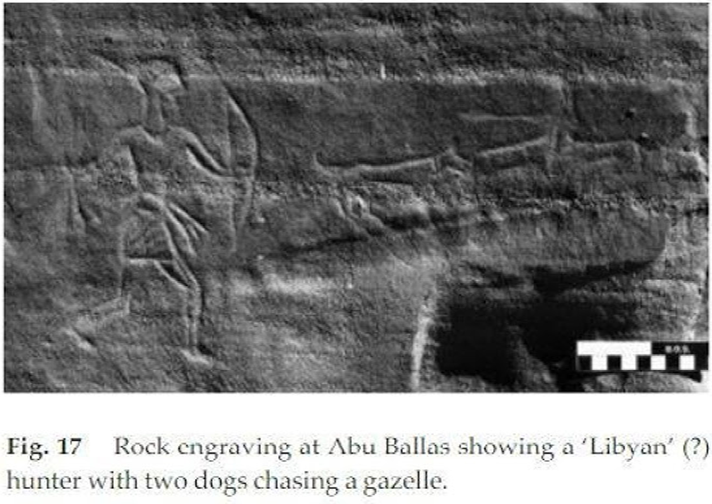 الملك الامازيغي شيشناق و اثار الامازيغ في الحضارة المصرية القديمة1 D26