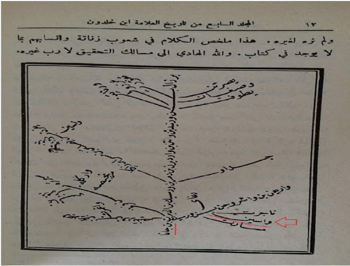 *أصول أمازيغ بني مزاب حسب علم الجينات* Oao_ao13