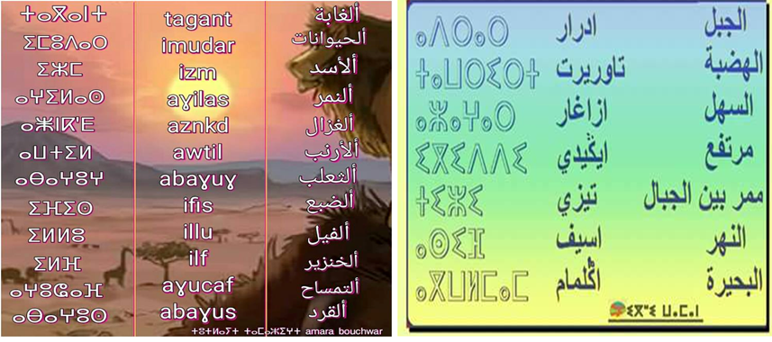 أسماء ومصطلحات بالأمازيغية + أسماء الأماكن والحيوانات بالأمازيغية Sans_185