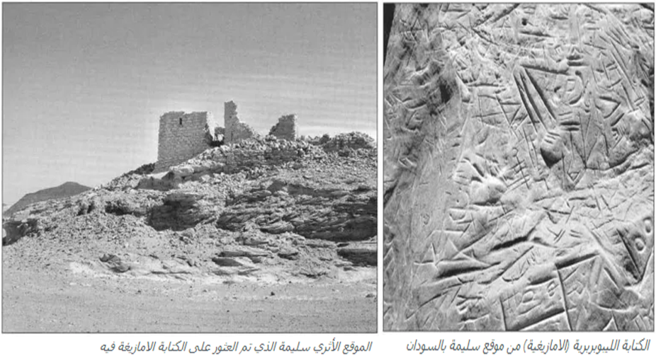 اكتشاف موقع اثري جديد للكتابة الليبوبربرية (الأمازيغية القديمة) في السودان  Selima10