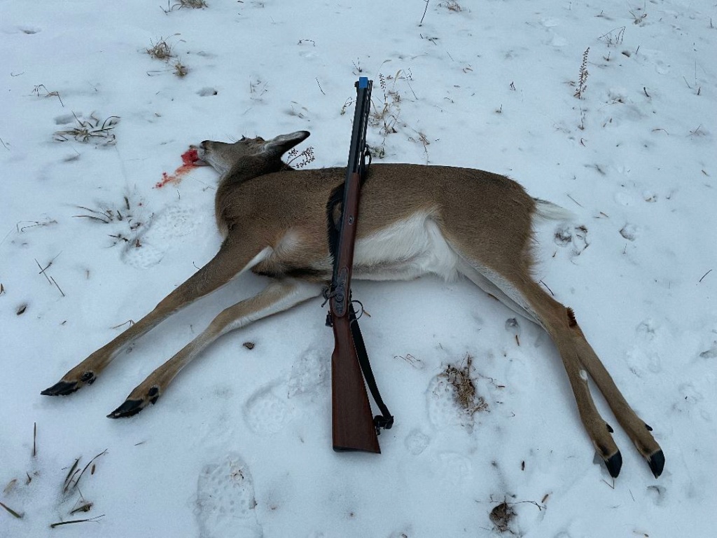 Primitive Hunt Thumbn11
