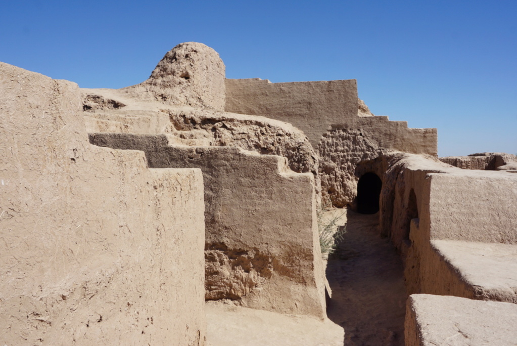 Ouzbékistan- Culture et rencontres : un rêve Turquoise réalisé 12510