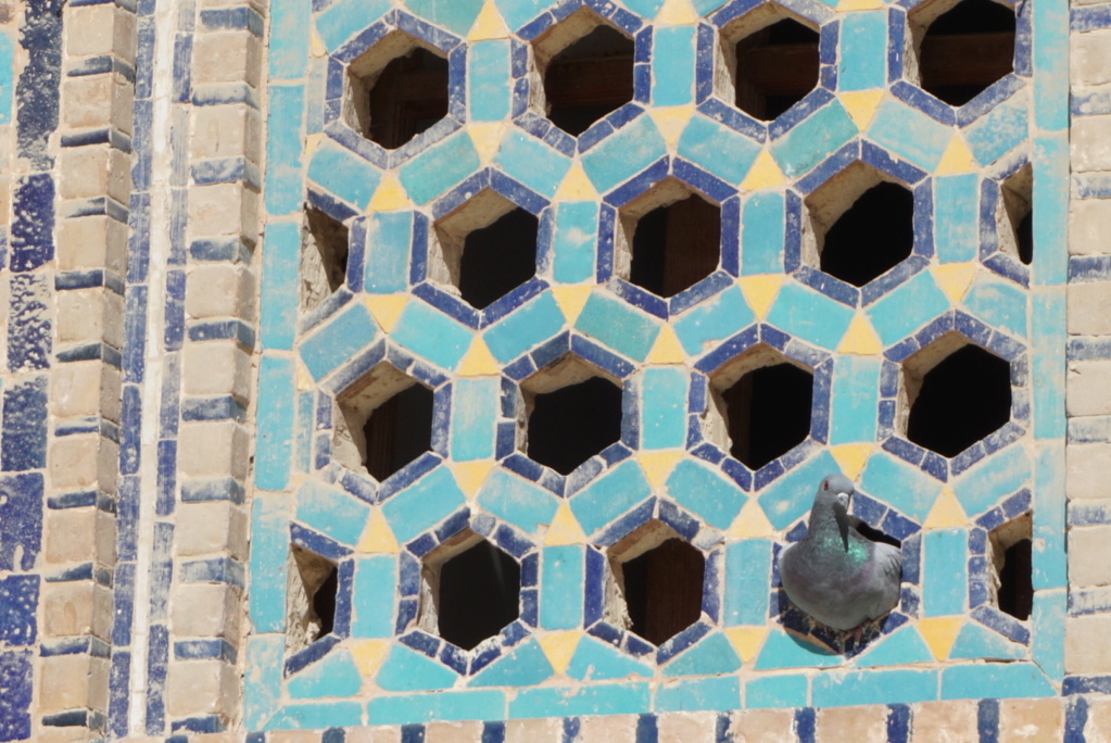 Ouzbékistan- Culture et rencontres : un rêve Turquoise réalisé 60610