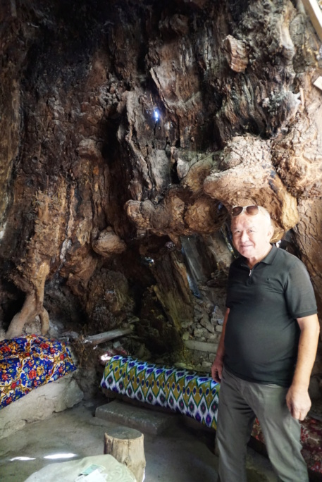 Ouzbékistan- Culture et rencontres : un rêve Turquoise réalisé - Page 2 67410