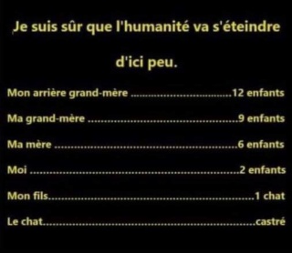 Humour  - Page 32 43447111