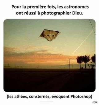 Humour  - Page 48 46348710