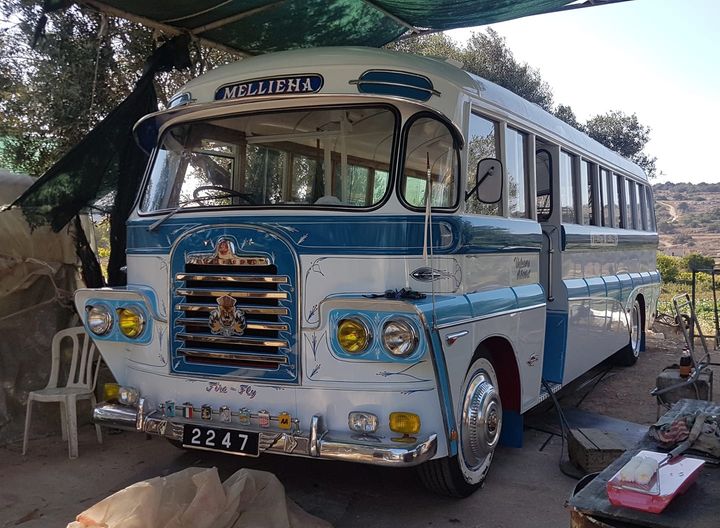 Malteses buses - Les bus traditionnels de Malte 10050910