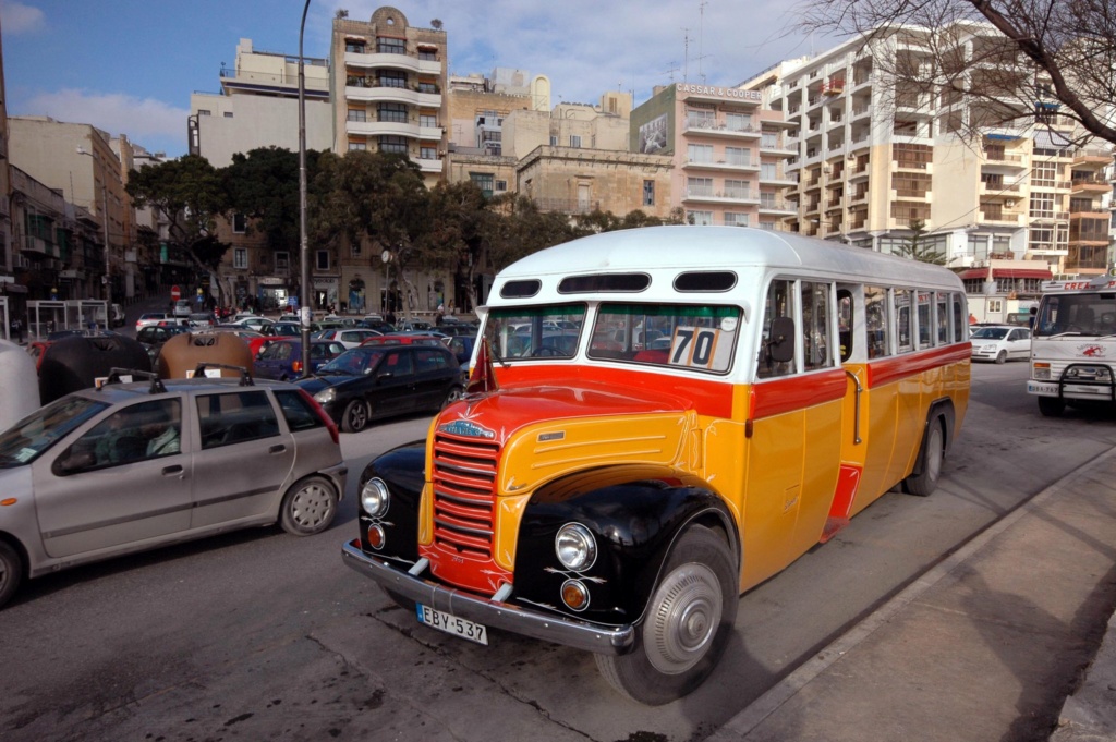Malteses buses - Les bus traditionnels de Malte 55858510