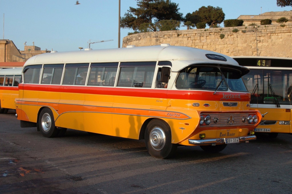 Malteses buses - Les bus traditionnels de Malte 55858512