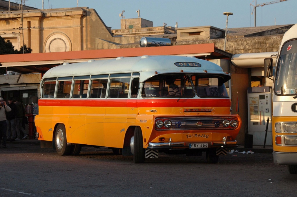 Malteses buses - Les bus traditionnels de Malte 55864412