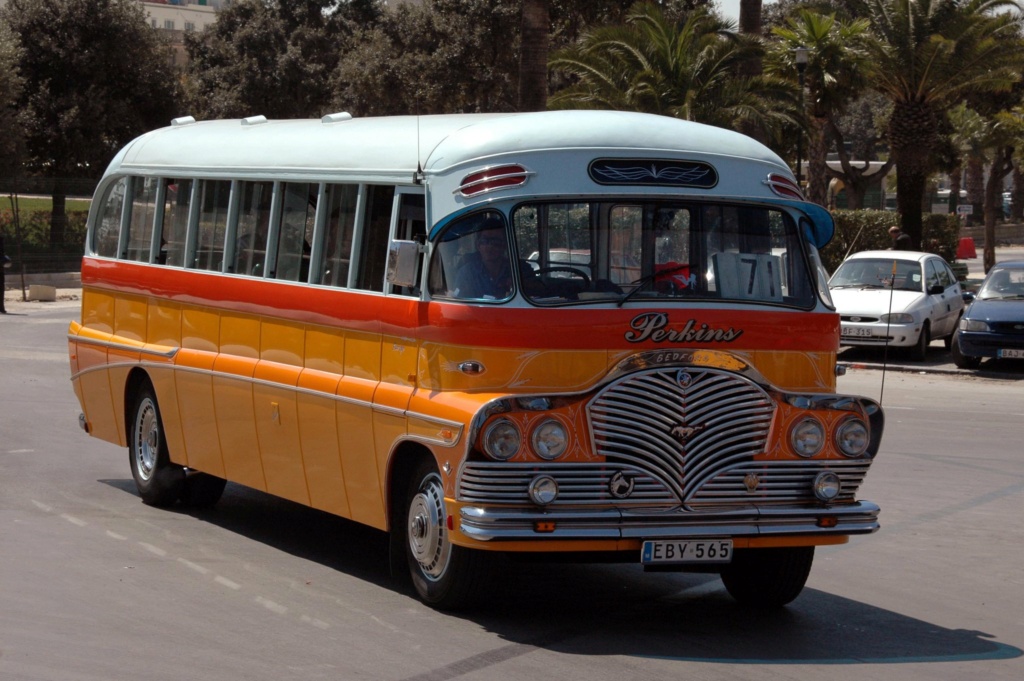 Malteses buses - Les bus traditionnels de Malte 55864510