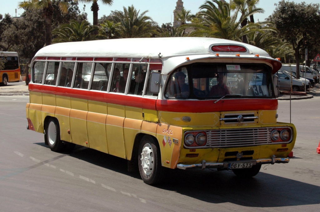 Malteses buses - Les bus traditionnels de Malte 55864511