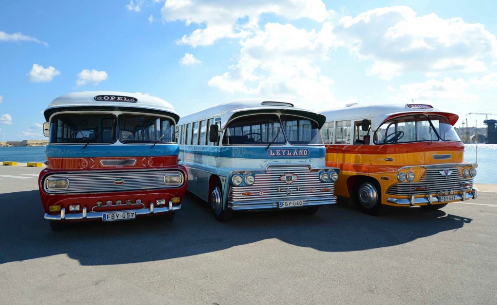 Malteses buses - Les bus traditionnels de Malte N9knnk10
