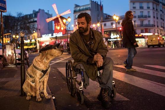 France:  Il a perdu son chien Oscar ! 16938910