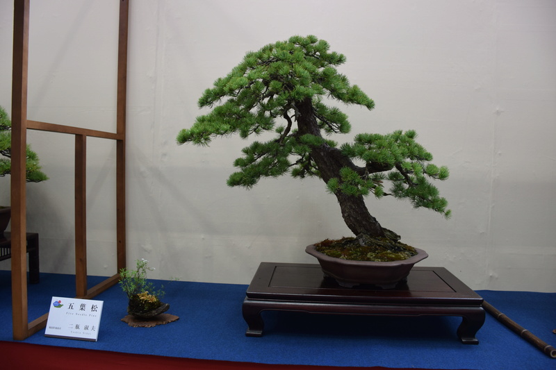 The 8th World Bonsai Convention, SAITAMA CITY Dsc_0163