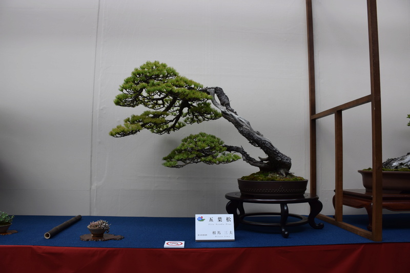 The 8th World Bonsai Convention, SAITAMA CITY Dsc_0254