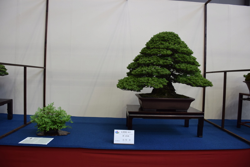 The 8th World Bonsai Convention, SAITAMA CITY - Page 2 Dsc_0696