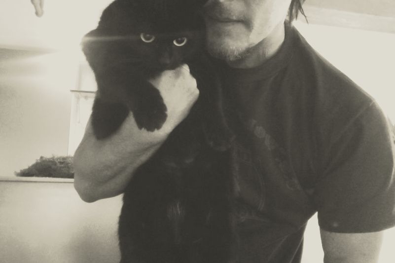 Ceux qui ont fait 2014 ! Norman13