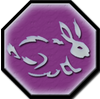 Les dés Lapin10