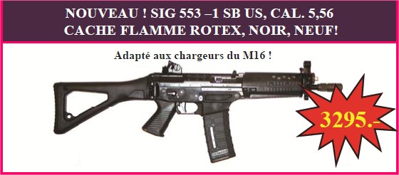 SIG553 US 55310