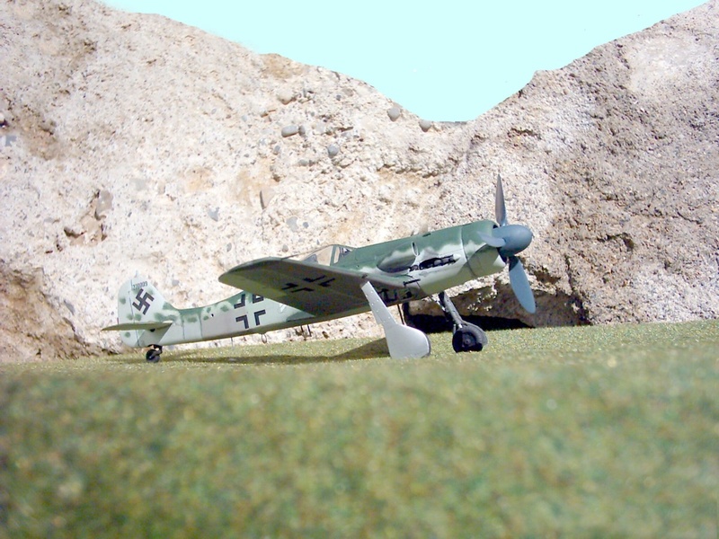 [DRAGON]  FOCKE WULF Fw 190 D-11 Réf 5503 Focke_21