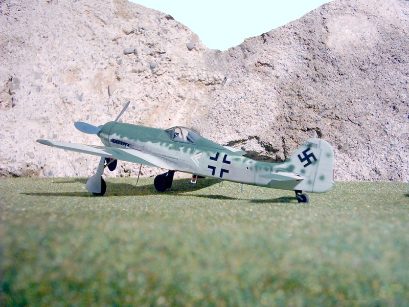 [DRAGON]  FOCKE WULF Fw 190 D-11 Réf 5503 Focke_22
