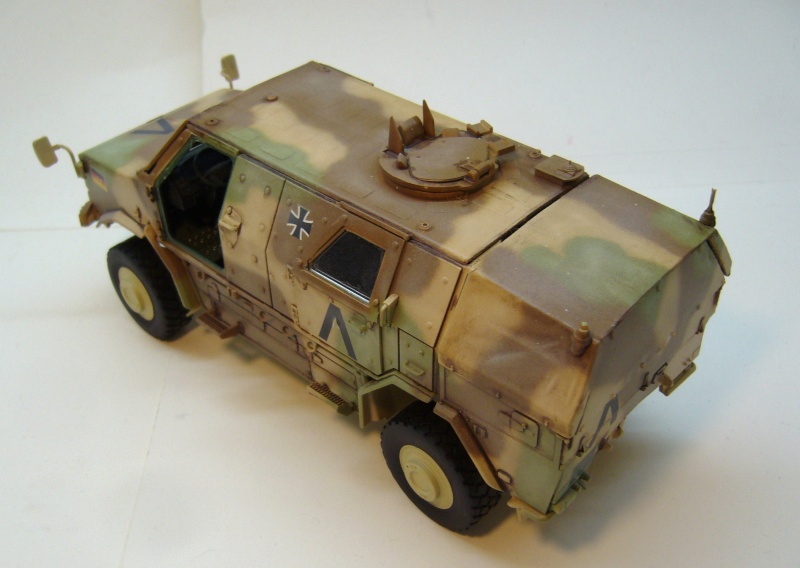 Dingo Revell 1/35 P1050144