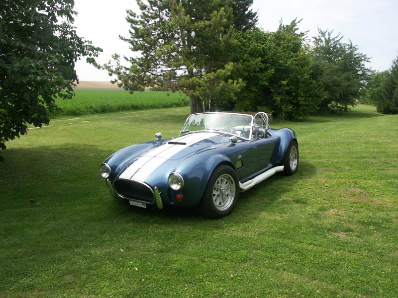 Cobra un peu MB Cob-lo12