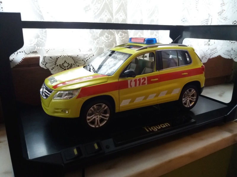 à vendre plusieurs miniatures ambulances smur  20170312