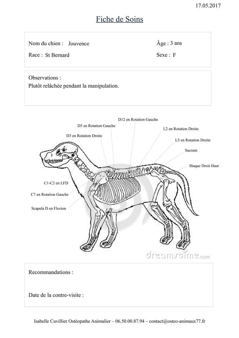 Osthéopathe pour chien - Page 2 Fiche_10