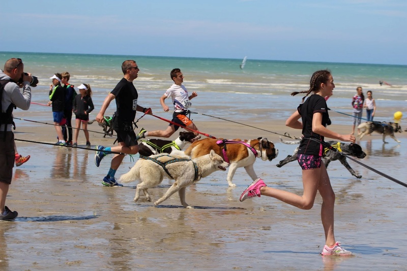 Canicross de Quiberville ( 76860 ) , dimanche 4 juin 2017 Img_8111