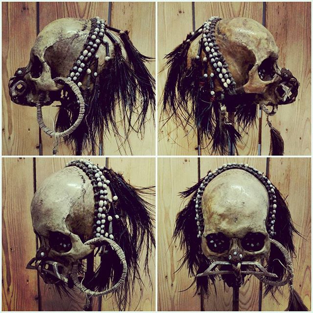 Crânes humain et divers Real Human Skulls Skull for sale 16585510