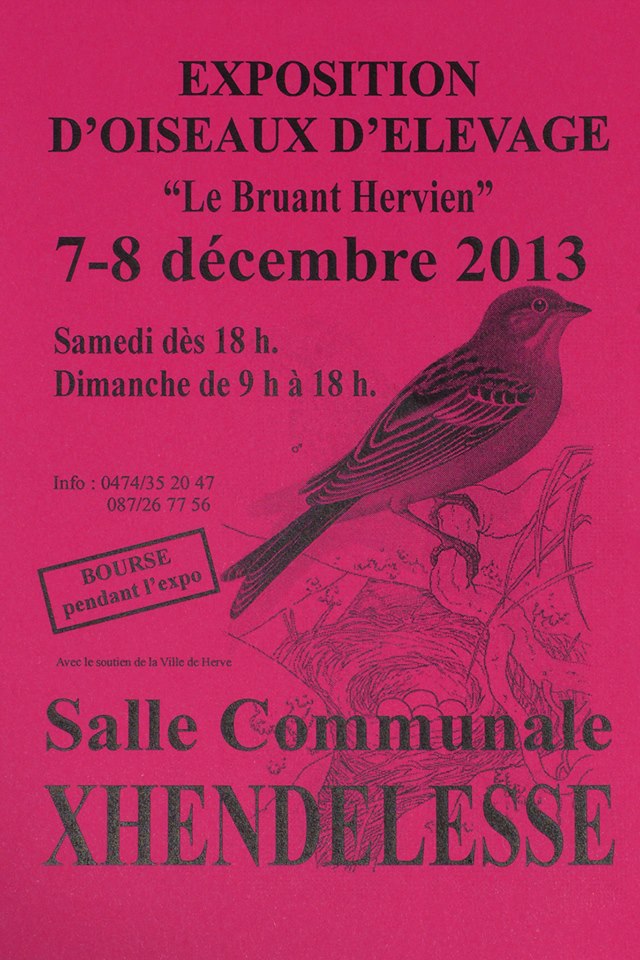 Exposition du Bruant Hervien: 7 et 8 décembre 2013 14584710