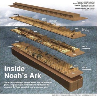 L'arche de Noé en taille réelle Tumblr33