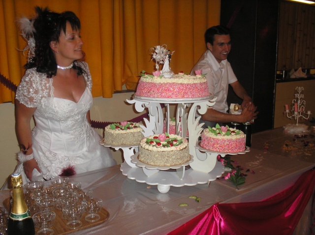 photo du mariage que je suis allez a fourmie (59) Mariag40
