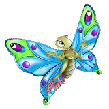 Papillon Papillon