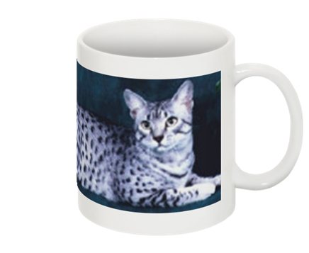 E'Sethi Accuente, le chaton voyageur - Page 12 Mug210