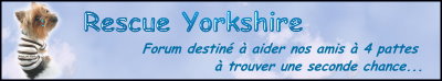 RESCUE Yorkshire Ban110