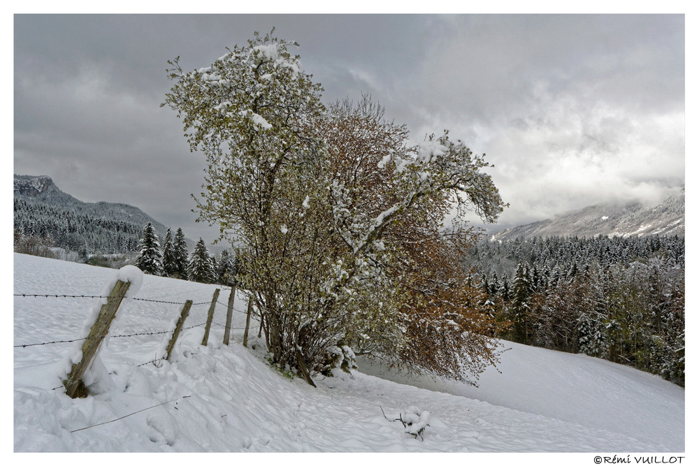 Retour de l'hiver en Isère le 1er mai 2017 17-05-14