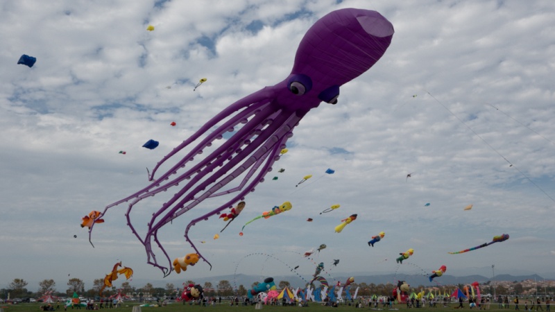 festi de frejus fin octobre  Pieuvr10