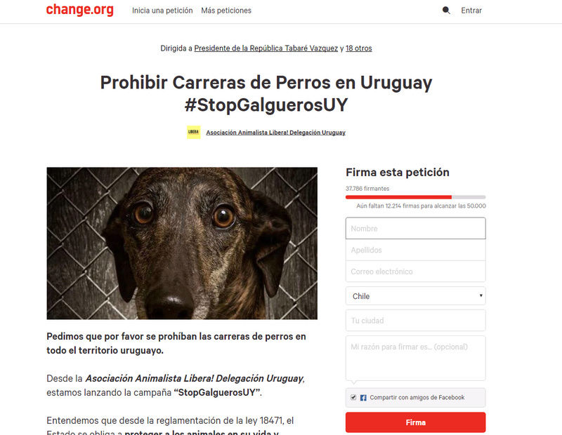 ENLACE DE FIRMAS  PROHIBIR CARRERAS DE GALGOS EN URUGUAY Urugua10